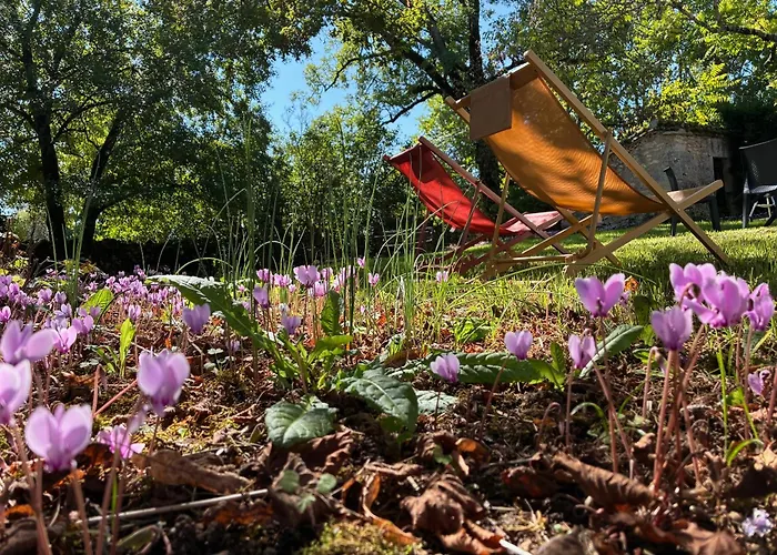 Maison De Dans Le Lot